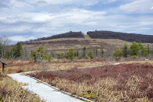 Cranesville Swamp Preserve image