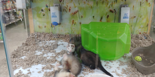 Pet Supply Store «Petco», reviews and photos, 3434 Court St, Pekin, IL 61554, USA