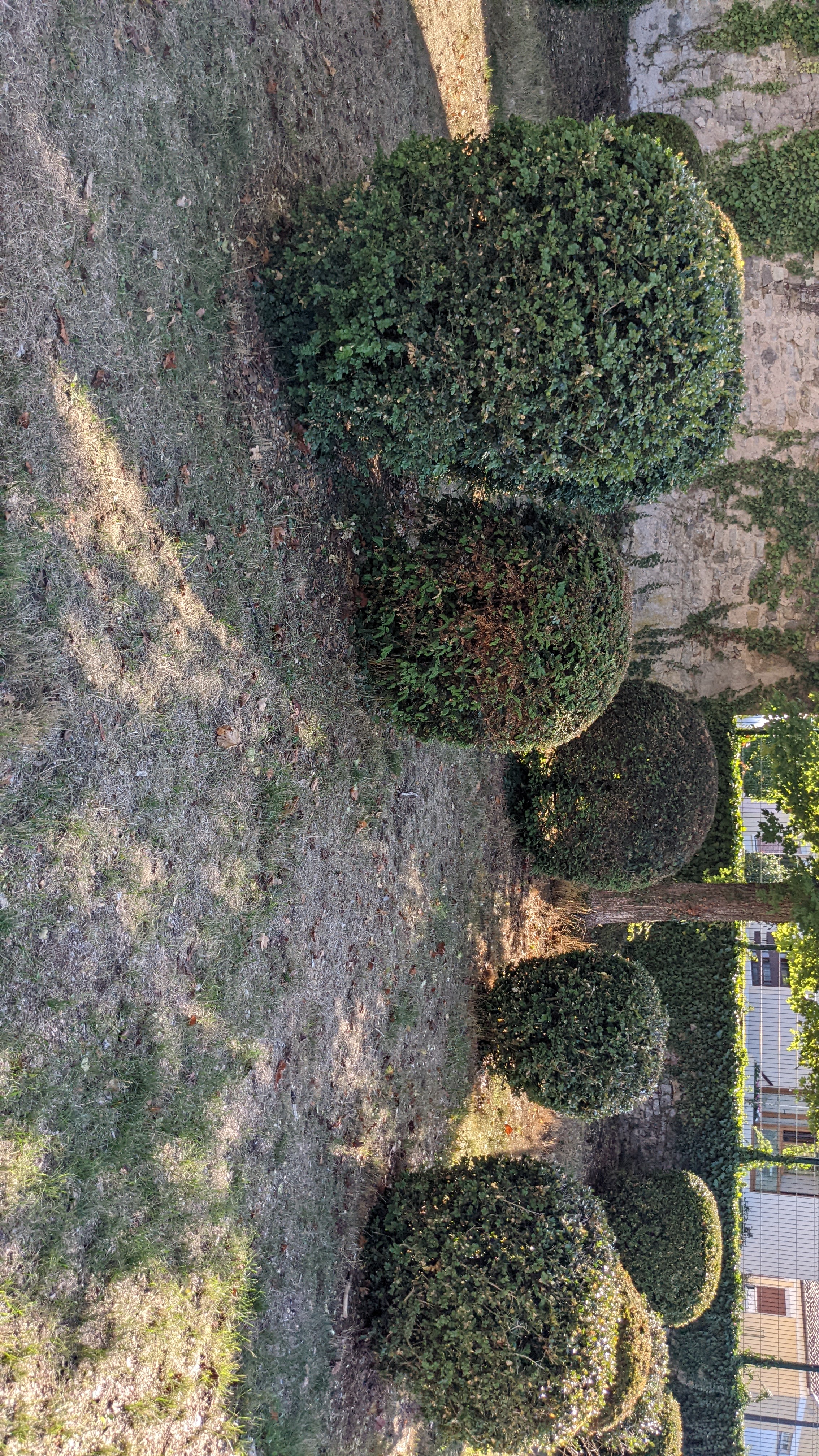 Photo n° 18 de l'avis de Lolo.o fait le 24/03/2016 à 20:04