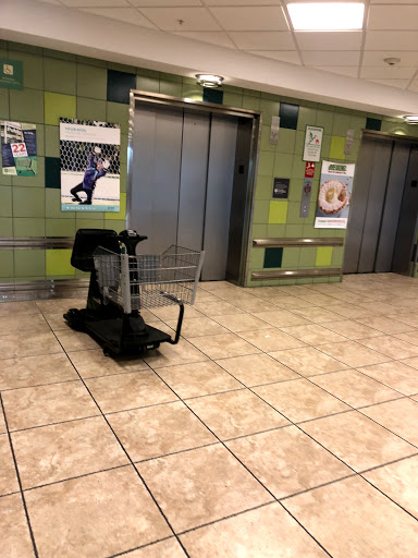 Supermarket «Publix Super Market at Plaza De Leon», reviews and photos, 106 Ponce De Leon Blvd, Miami, FL 33135, USA