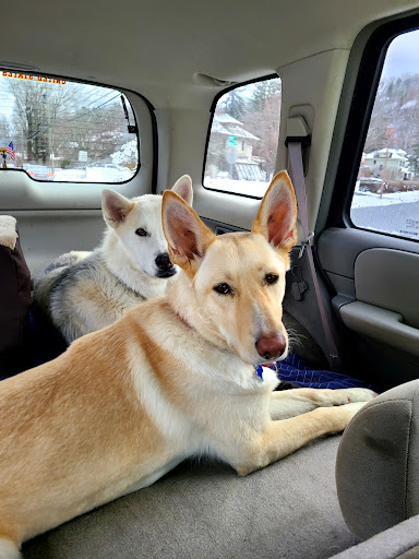 Pioneer Valley Veterinary Hospital, Inc