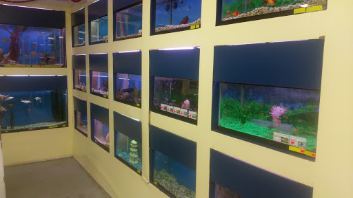 Pet Store «Plaza Pet World», reviews and photos, 230 Livingston St, Northvale, NJ 07647, USA