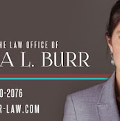 Law Office Of Anna L. Burr
