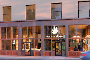 Plant'd Farma Wellness Boutique image