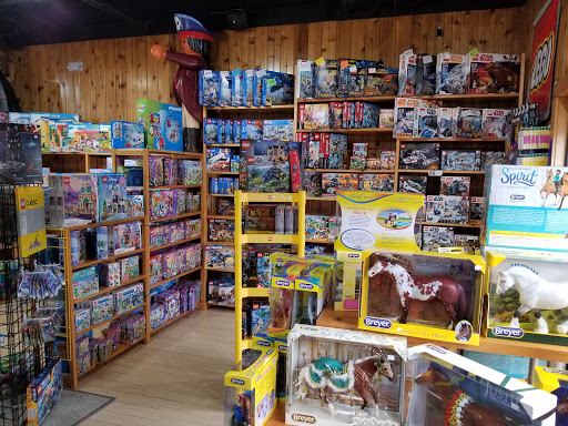 Toy Store «Dancing Bear Toys», reviews and photos, 518 Kenilworth Rd, Asheville, NC 28805, USA