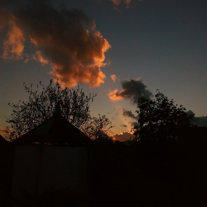2 image