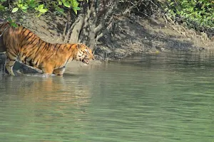 Sundarban Protima Travels | sundarban tour operator | sundarban tour booking image