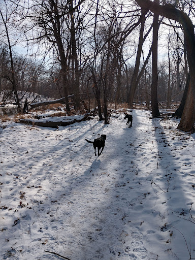 Golf Course «Edgebrook Golf Course», reviews and photos, 6100 N Central Ave, Chicago, IL 60646, USA