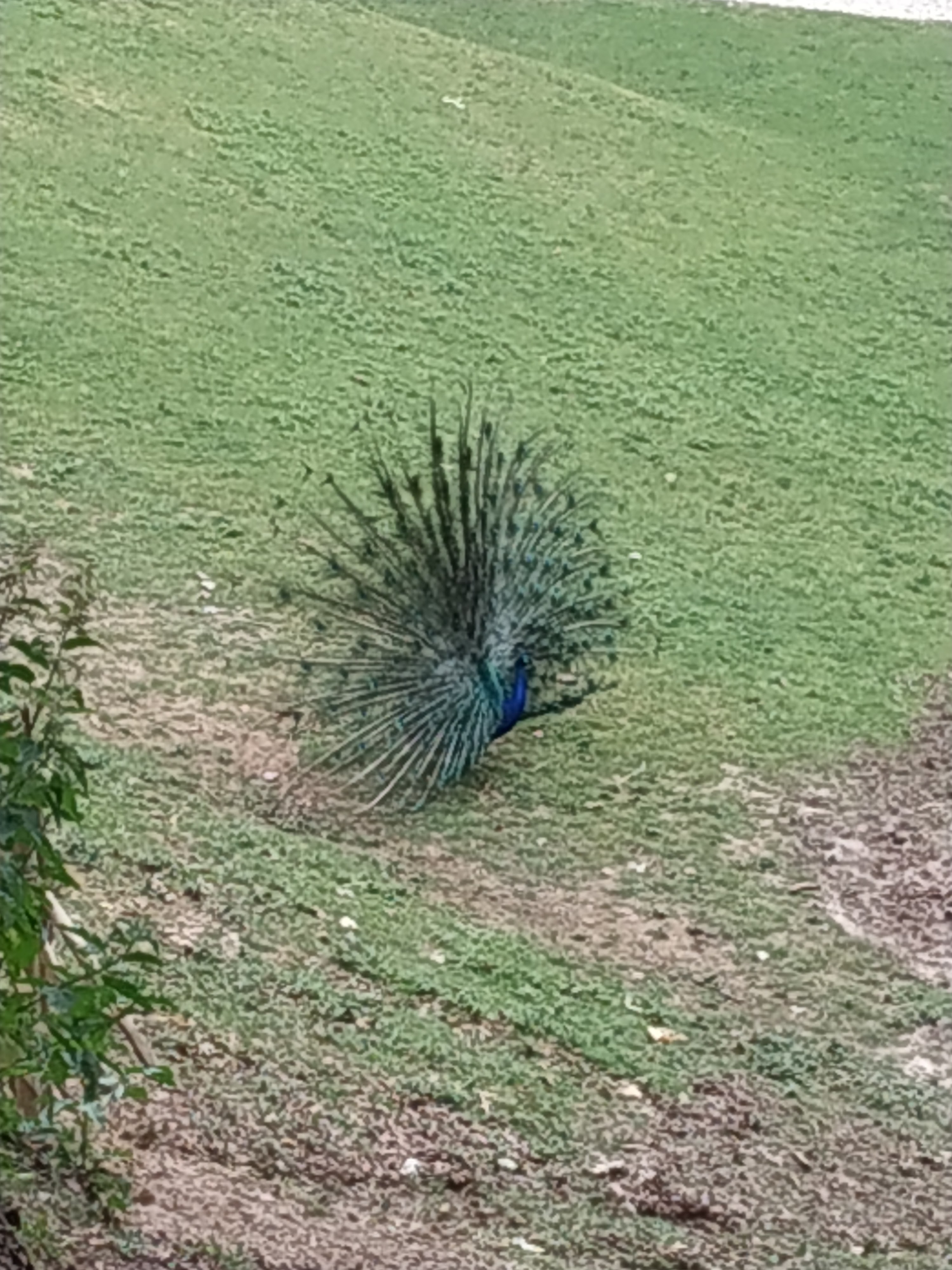 Photo n° 6 de l'avis de marie.l fait le 13/06/2023 à 20:22