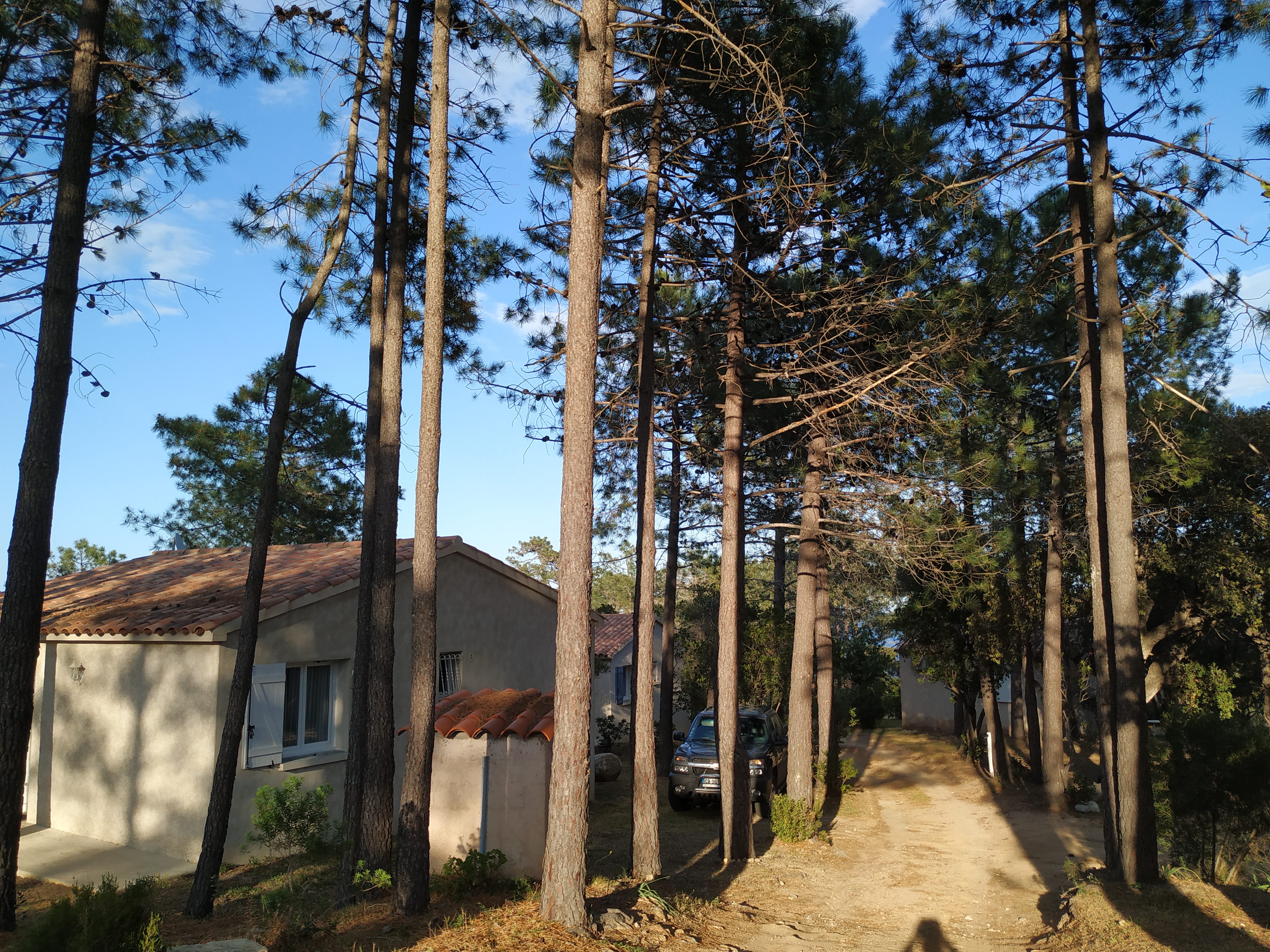 Photo n° 2 de l'avis de sylvie.e fait le 11/05/2019 à 17:05