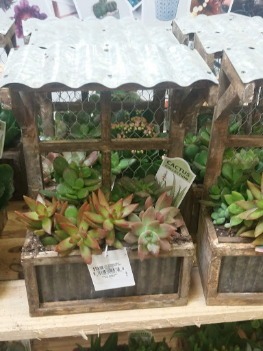 Home Improvement Store «The Home Depot», reviews and photos, 3901 Old Jacksonville Hwy, Tyler, TX 75701, USA