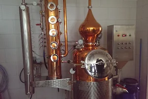 Botanical Distilling image