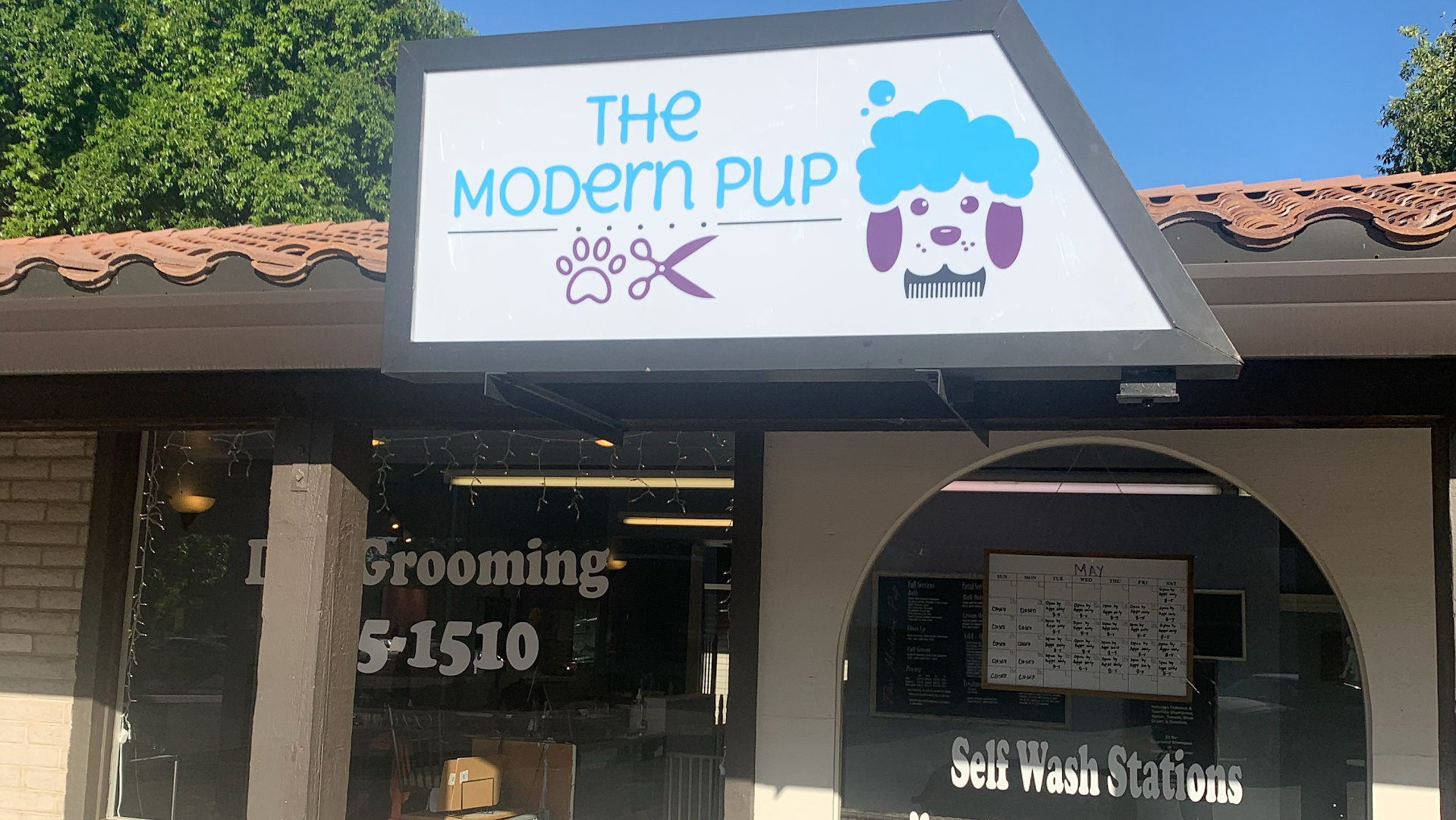 The Modern Pup