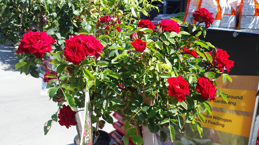 Home Improvement Store «The Home Depot», reviews and photos, 1781 E Bayshore Rd, East Palo Alto, CA 94303, USA