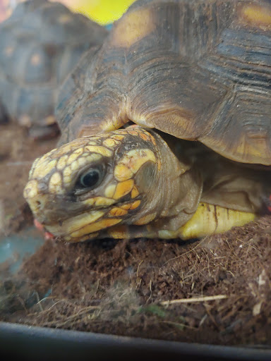 Pet Store «Critters & Co Pet Center», reviews and photos, 11042 WA-525, Clinton, WA 98236, USA