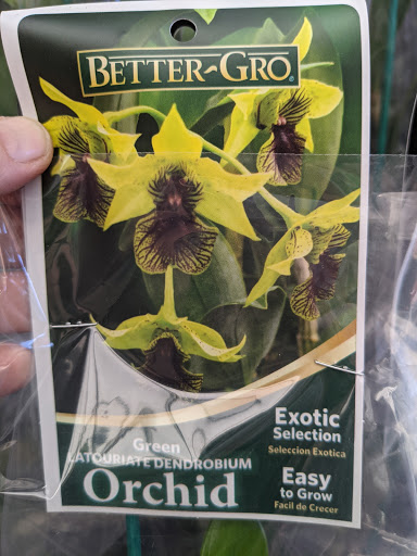 Pet Supply Store «Petco Animal Supplies», reviews and photos, 30697 US Hwy 19 N, Palm Harbor, FL 34684, USA