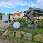 Photo n°5 de l'avis de Andreas.l fait le 11/08/2021 à 18:11 sur le  Restaurant Remise à Stolpe auf Usedom