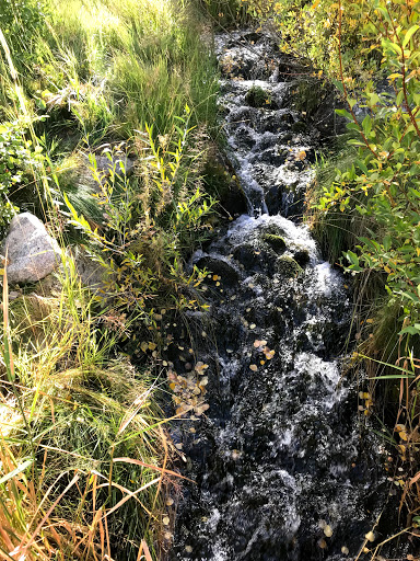 Golf Course «Raven Golf Club At Three Peaks», reviews and photos, 2929 Golden Eagle Rd, Silverthorne, CO 80498, USA