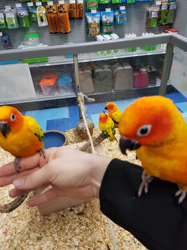 Pet Store «Petland Fairfax», reviews and photos, 9404 Main Street, Fairfax, VA 22031, USA