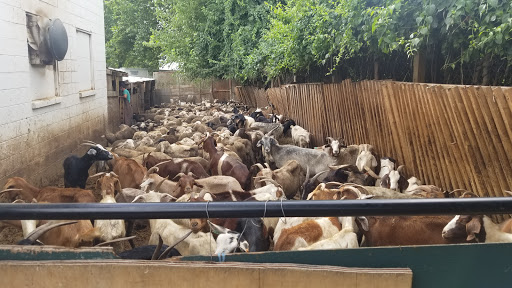 Butcher Shop «Lebanese Butchers Slaughterhouse», reviews and photos, 241 W Shirley Ave, Warrenton, VA 20186, USA