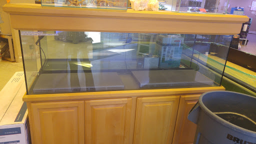 Aquarium Shop «Aquarium Arts», reviews and photos, 1810 W Baseline Rd #1, Mesa, AZ 85202, USA