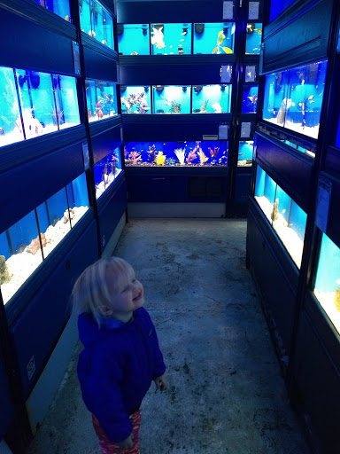Pet Supply Store «Iowa Pet Foods & Seascapes», reviews and photos, 1500 22nd St, West Des Moines, IA 50266, USA