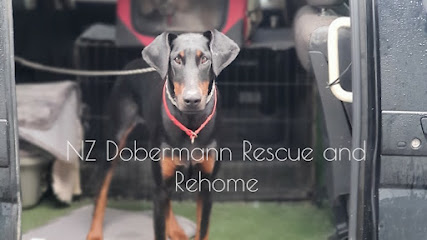 NZ Dobermann Rescue and Rehome