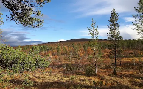 Urho Kekkonen National Park image