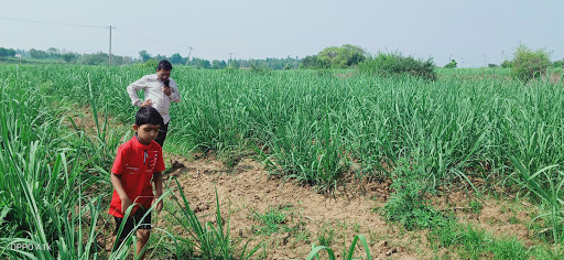 Bicycle Store «Bellitte Bicycles», reviews and photos, 169-20 Jamaica Ave, Jamaica, NY 11432, USA