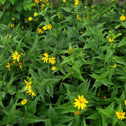 Nature Preserve «DeGraaf Nature Center», reviews and photos, 600 Graafschap Rd, Holland, MI 49423, USA