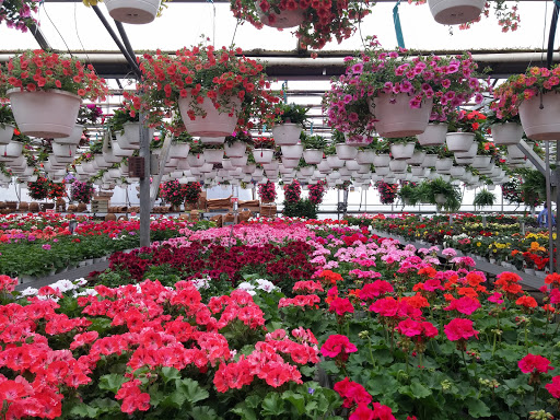 Produce Market «Didier Farms», reviews and photos, 16678 Aptakisic Rd, Lincolnshire, IL 60069, USA