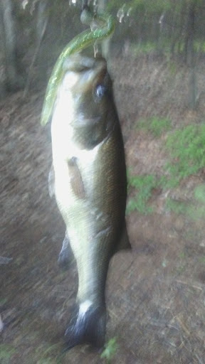 State Park «West Rock Ridge State Park», reviews and photos, 1134 Wintergreen Ave, New Haven, CT 06514, USA