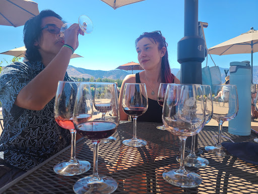 Winery «Benson Vineyards Estate Winery», reviews and photos, 754 Winesap Ave, Manson, WA 98831, USA