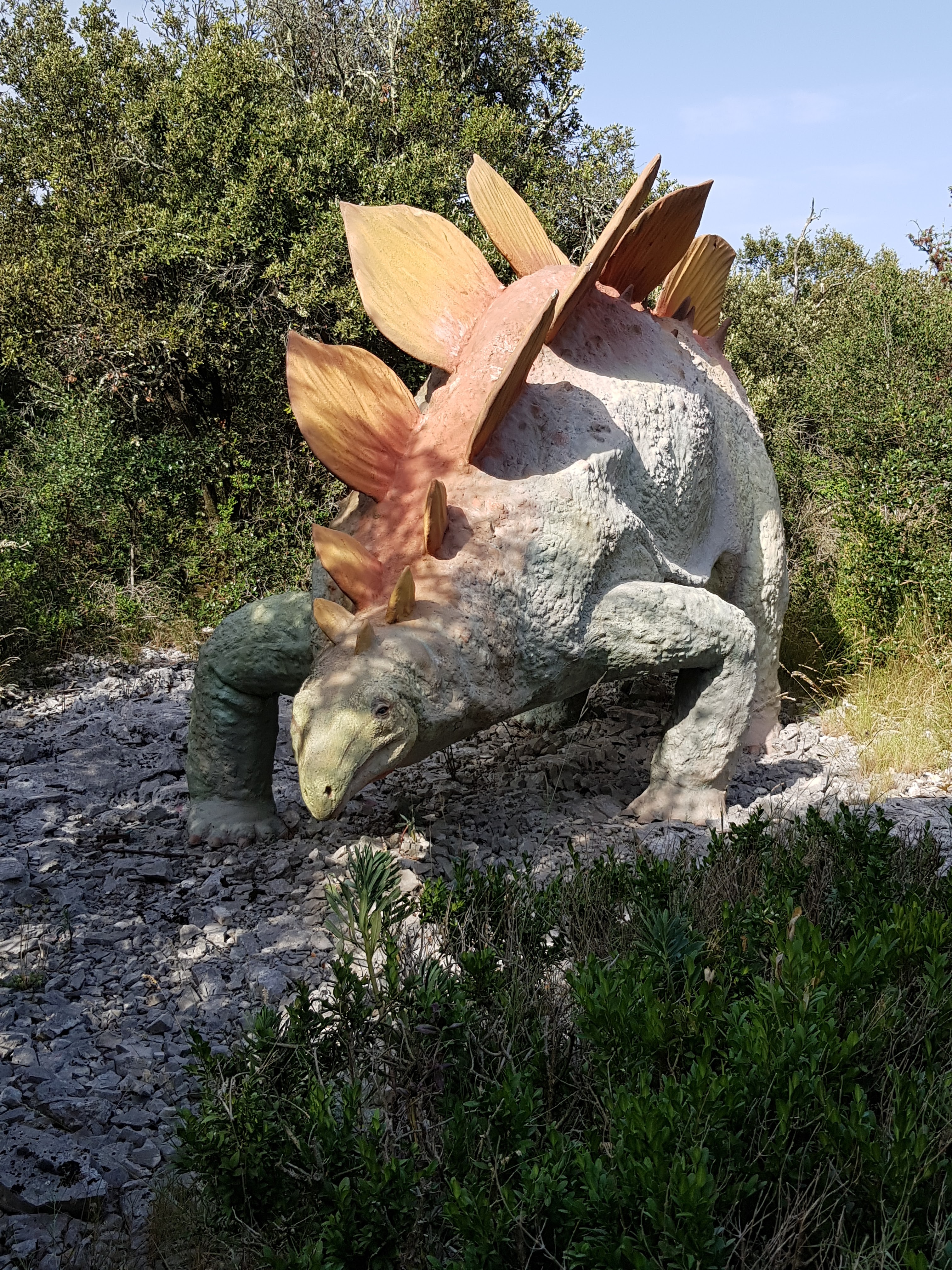 Photo n° 41 de l'avis de Dominique.o fait le 19/08/2021 à 11:21