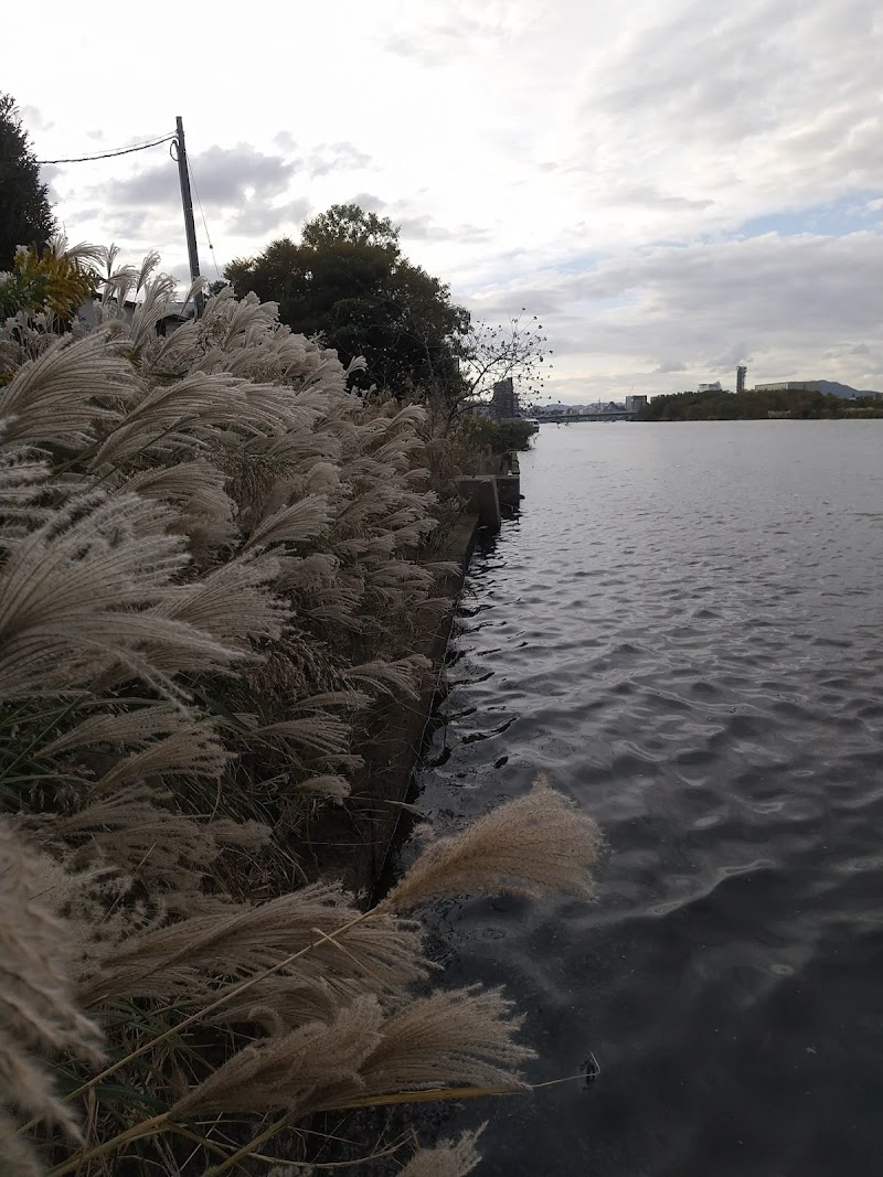 ＪＦしまね松江魚市場