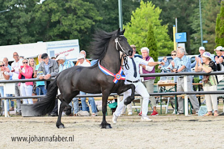 It Fryske Hynder Poel 1, 8723 BX Koudum, Nederland