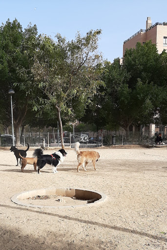 Parque canino Alicante