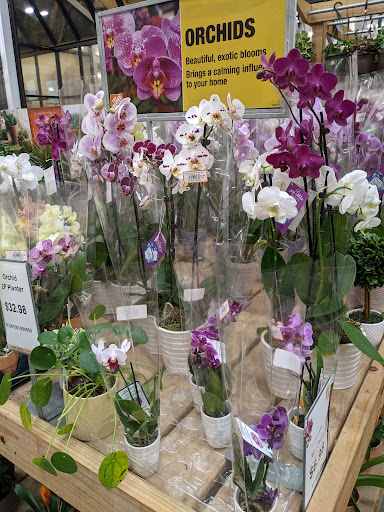 Home Improvement Store «The Home Depot», reviews and photos, 2920 Audrey Ave, Naperville, IL 60540, USA