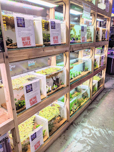 Tropical Fish Store «Barrier Reef Aquariums», reviews and photos, 1717 NE 44th St # A, Renton, WA 98056, USA