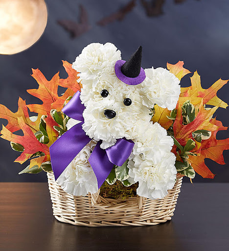 Florist «Green Grove Fruit and Flower», reviews and photos, 1439 Stuyvesant Ave, Union, NJ 07083, USA