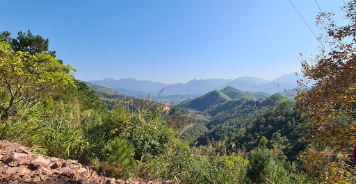 View point