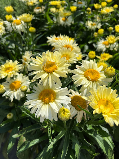 Home Improvement Store «The Home Depot», reviews and photos, 3849 S Delsea Dr, Vineland, NJ 08360, USA