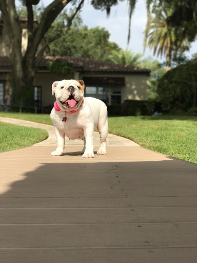 Janitorial Service «M.R.E. Cleaning Service, Inc.», reviews and photos, 3643 N Econlockhatchee Trail, Orlando, FL 32817, USA