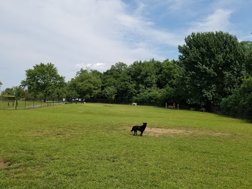 Kingston Point Dog Park image 1