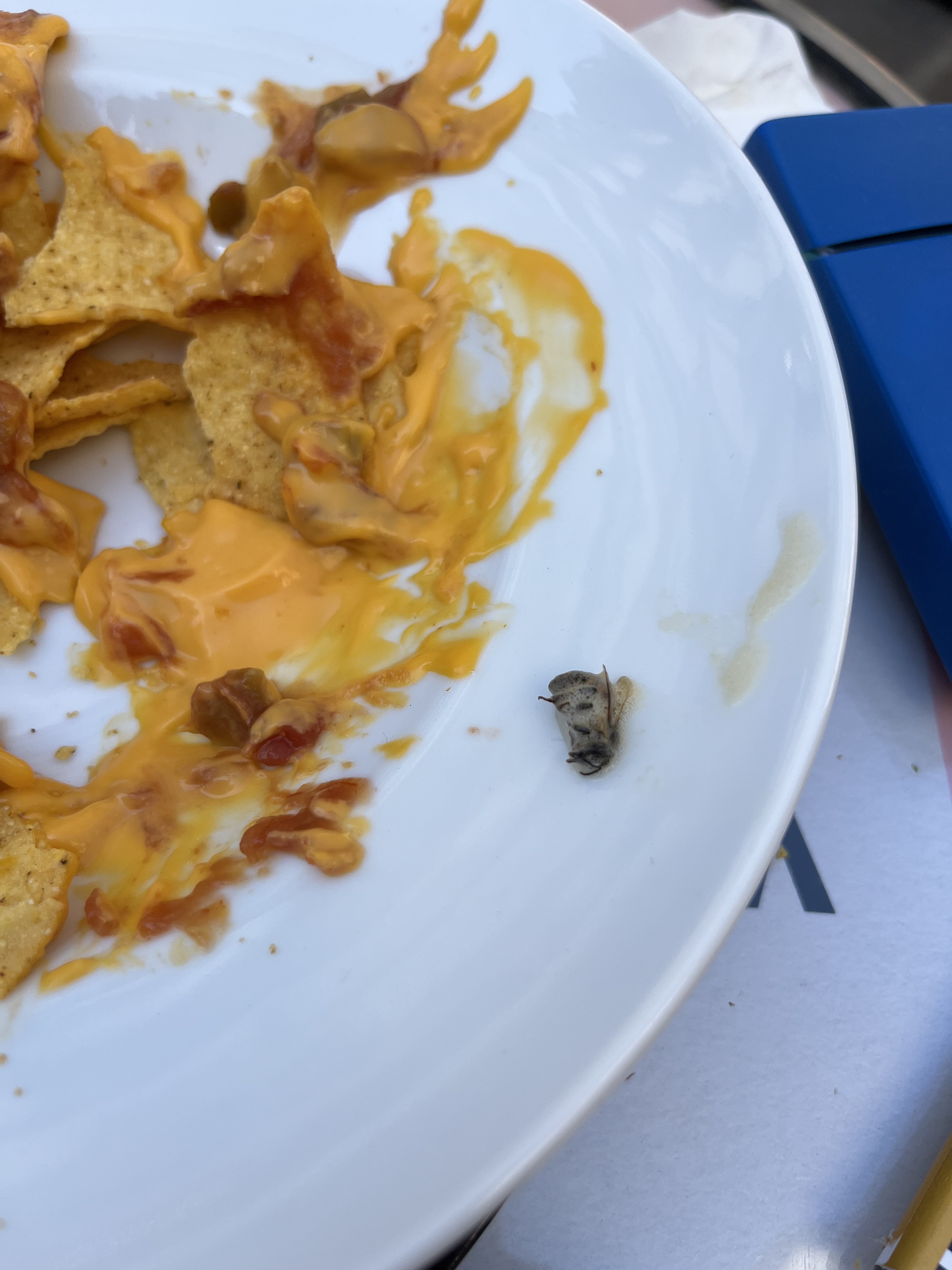 Photo n° 1 de l'avis de Olga.l fait le 02/09/2023 à 12:33