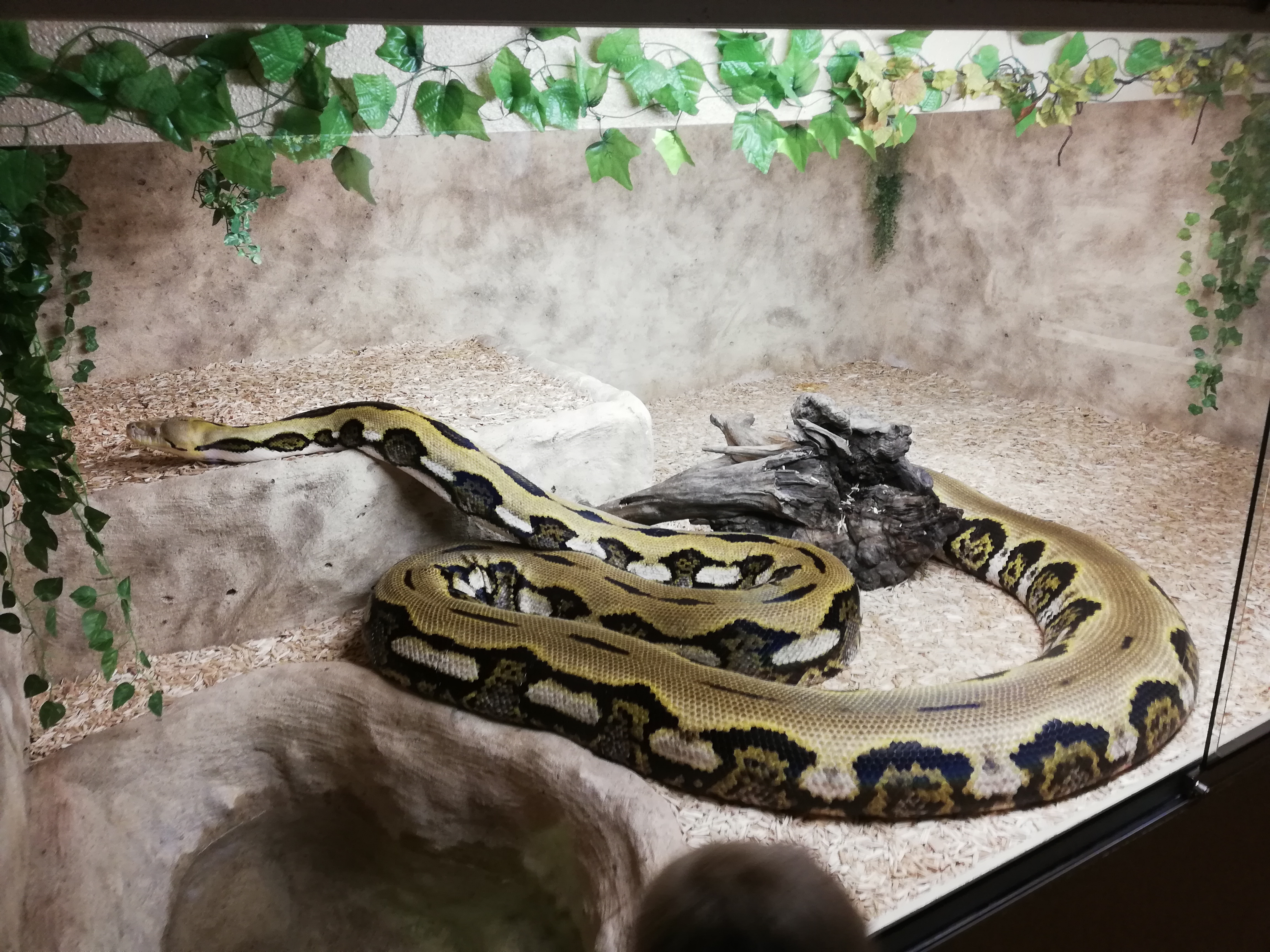 Photo n° 1 de l'avis de Marcel.a fait le 26/07/2020 à 10:05