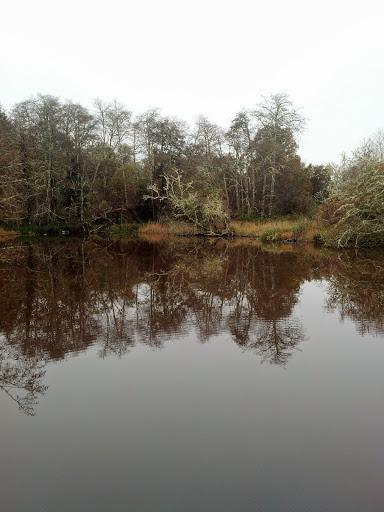 Museum «Cranberry Museum», reviews and photos, 2907 Pioneer Rd, Long Beach, WA 98631, USA