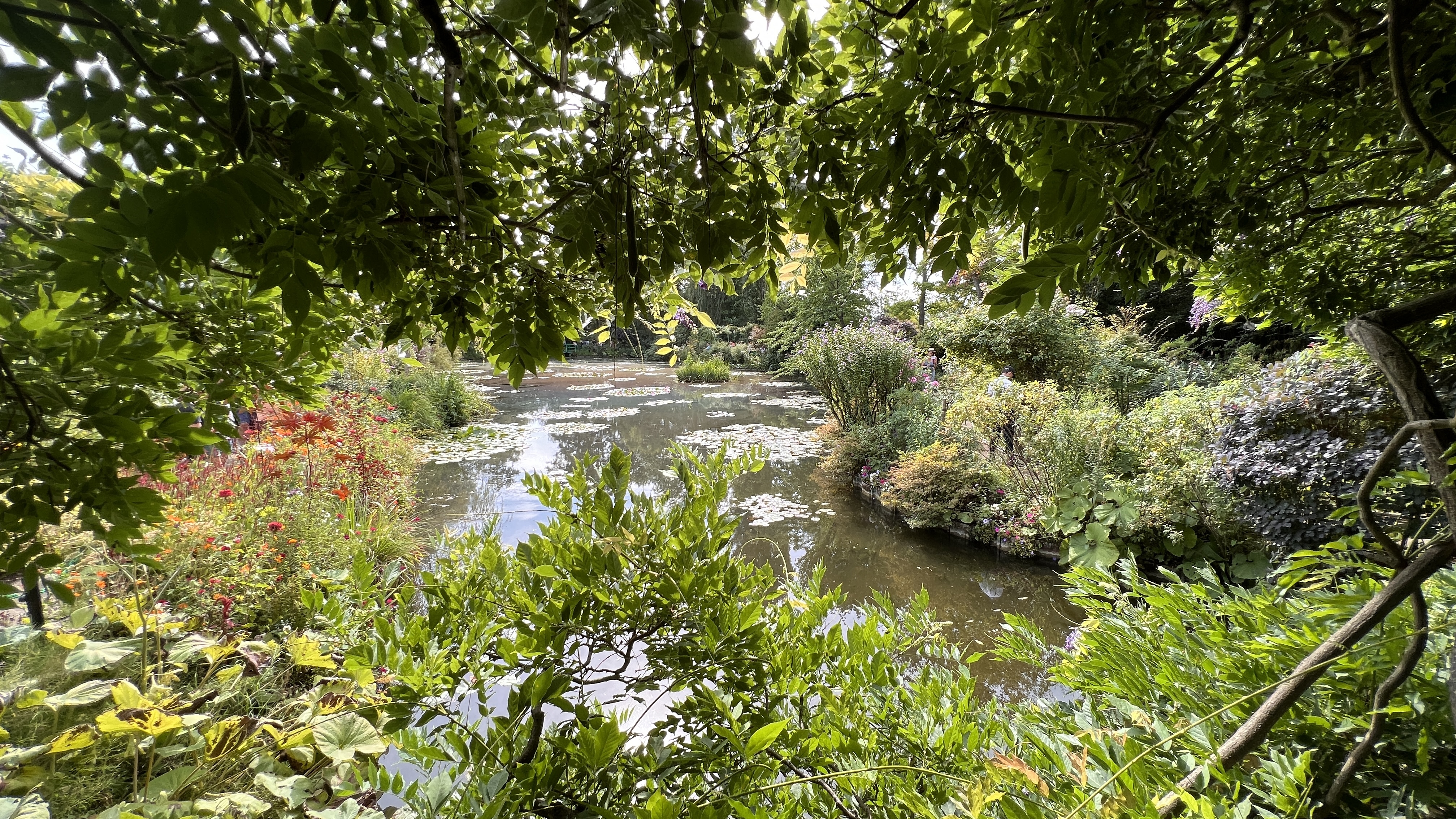 Photo n° 9 de l'avis de Michel.� fait le 14/08/2022 à 08:26