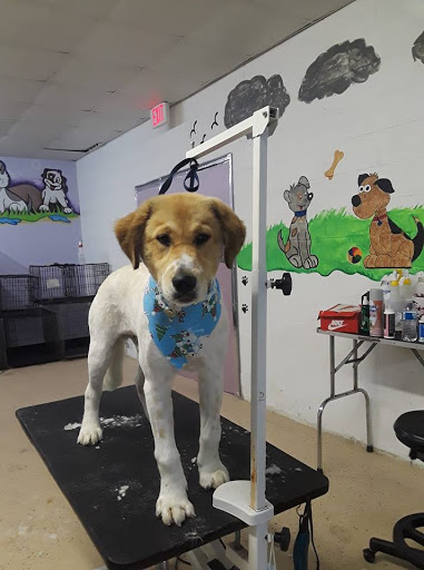 Durango Pets Grooming