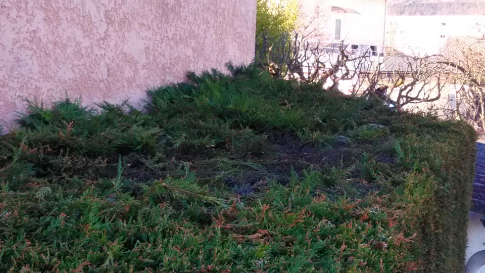 Photo n° 2 de l'avis de Gene.a fait le 27/12/2018 à 10:36